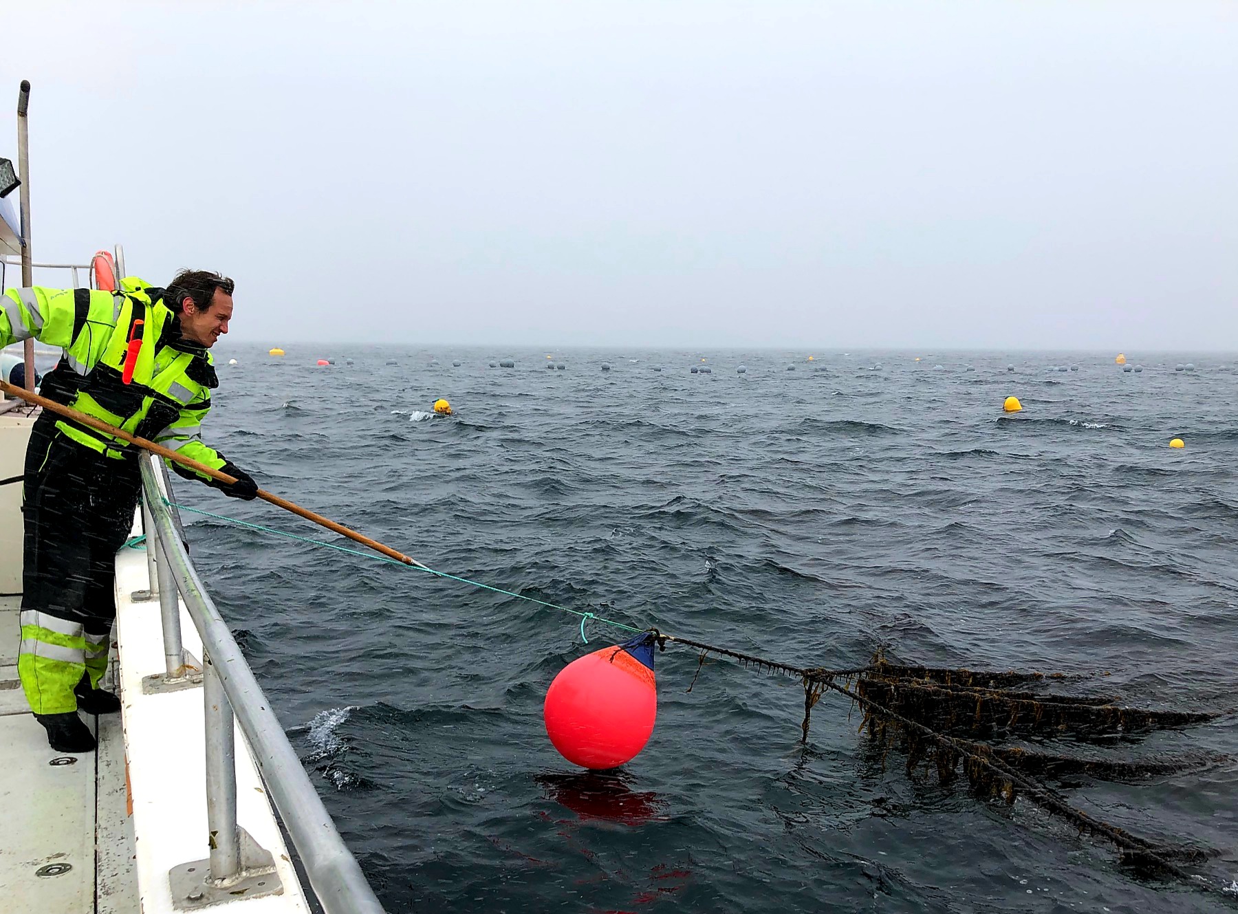 Man leaning over side of ship with rod trying to catch a buoy