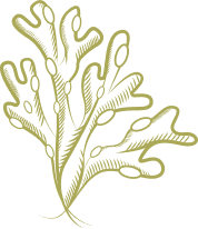 as