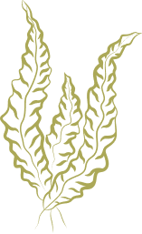 as