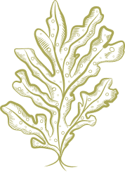 as