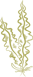as
