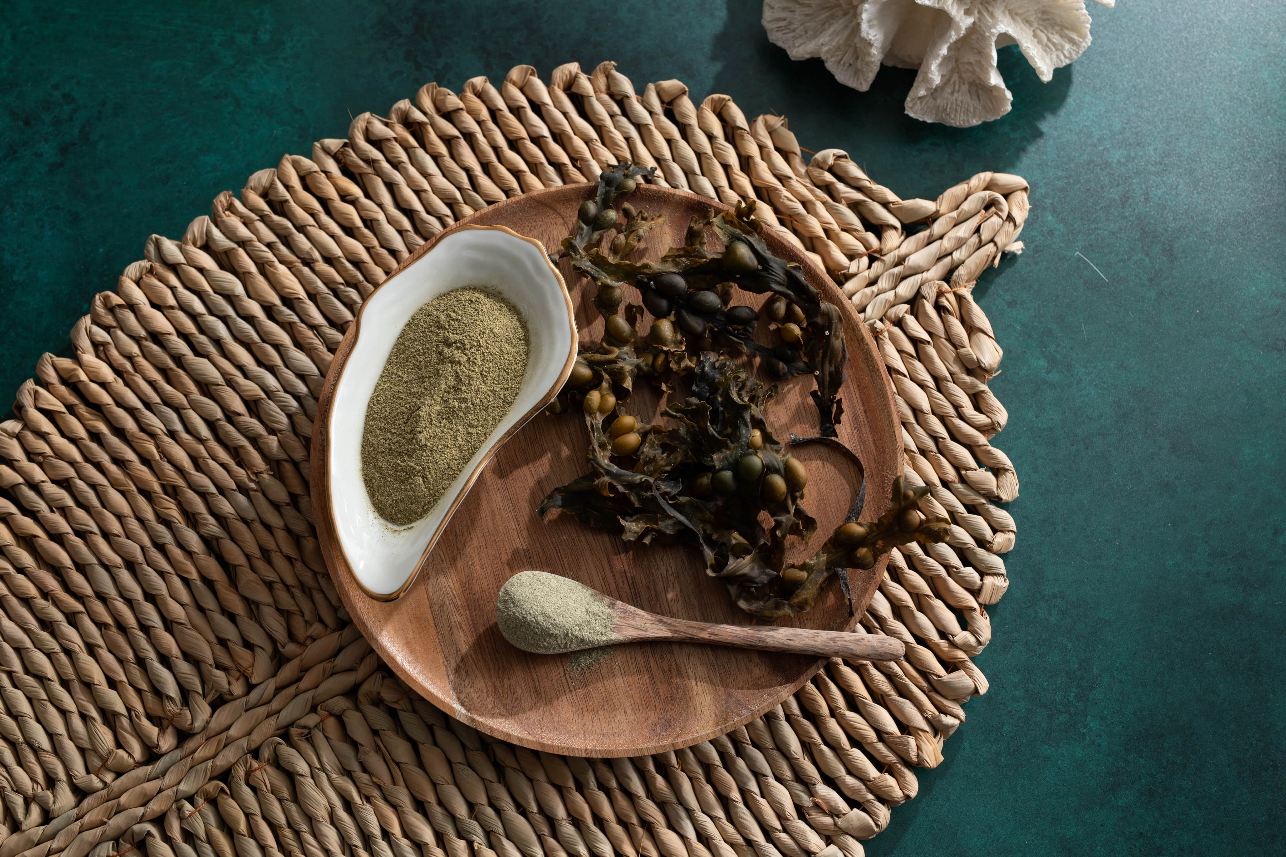 Selection of dried seaweed 