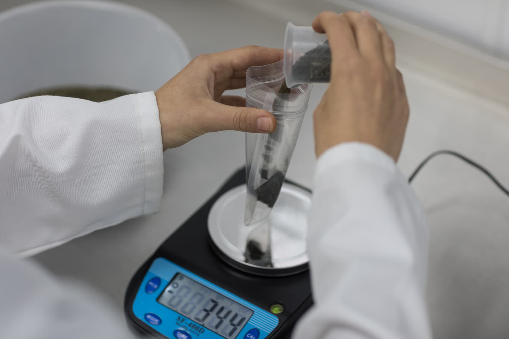 a person weighing dried seaweed 