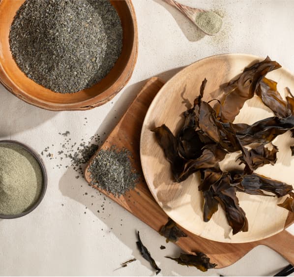 Group of dried seaweed
