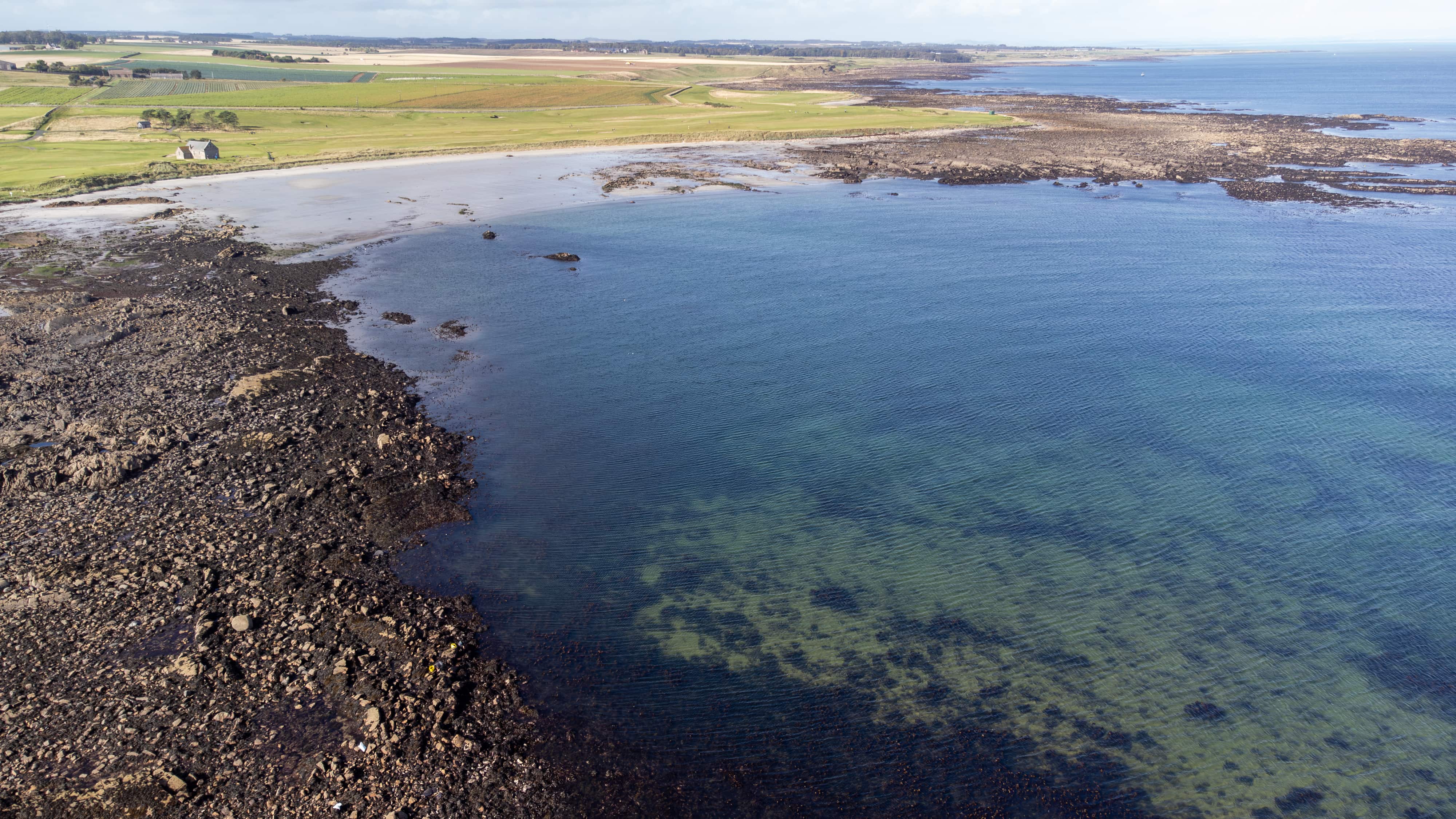 Landscape image of the sea shore with seaweed under the water