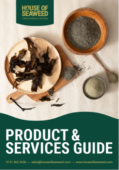 Seawee brochure cover